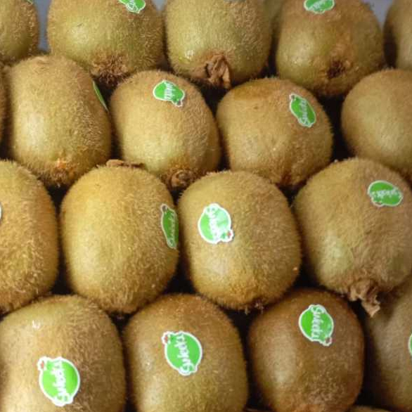 

Kiwi green rrc 1kg