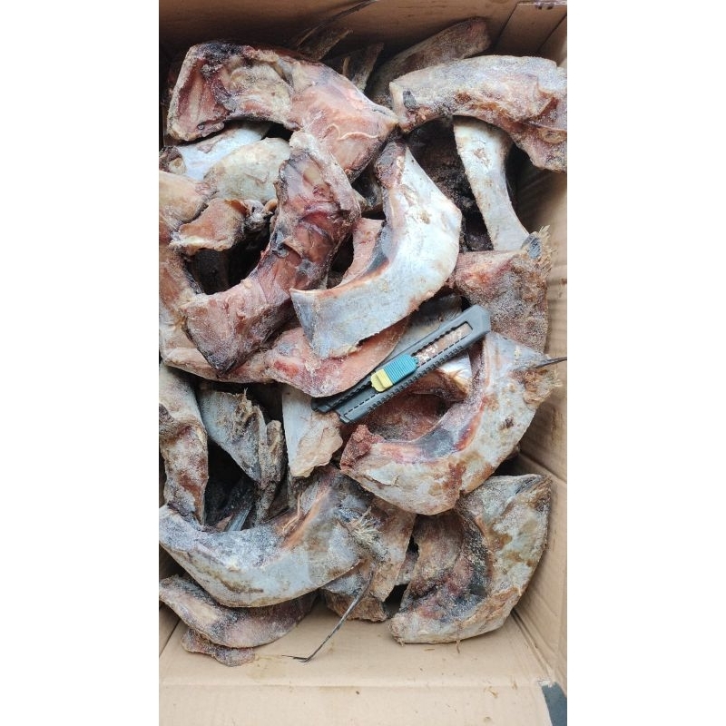 

rahang tuna natural kemasan 1 kg isi 2-3-4