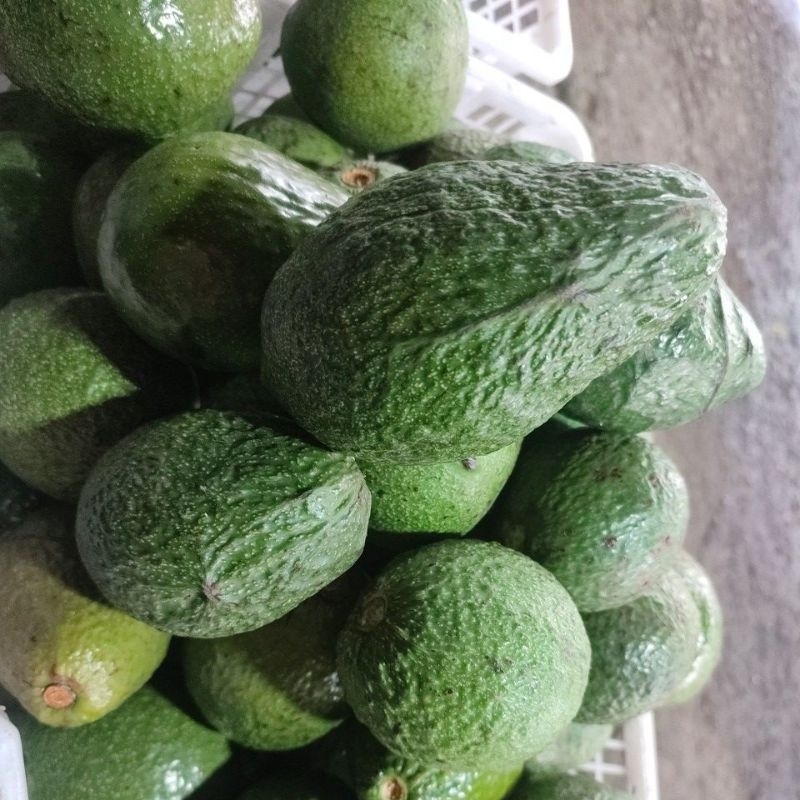 

alpuket mentega isi 5/6/7