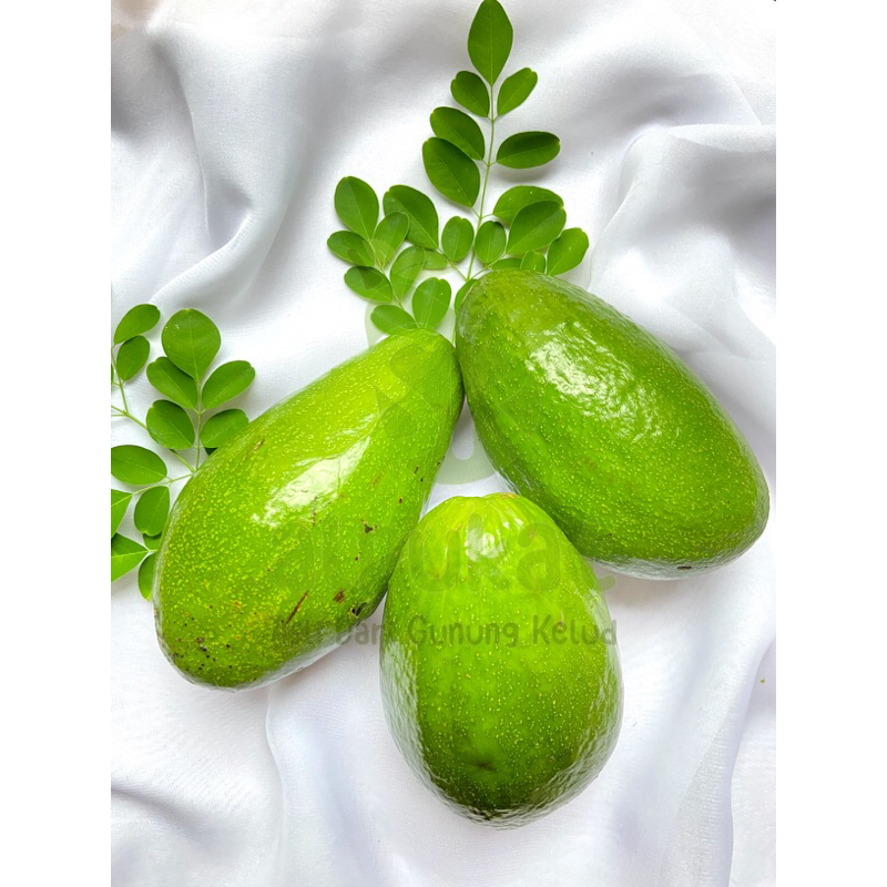 

Alpukat Kelud isi 3-4 per 1 kg