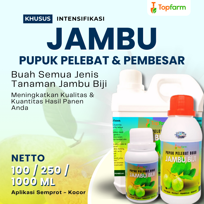 Pupuk Buah Jambu Kristal / Pupuk Buah Jambu Jamaika / Pupuk Penyubur Buah Jambu /Pupuk Pelebat Buah 