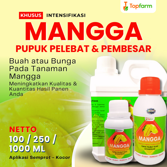 Pupuk Buah Mangga Super Lebat / Pupuk Buah Mangga Cepat Berubah / Pupuk Penguat Buah Mangga / Pupuk 
