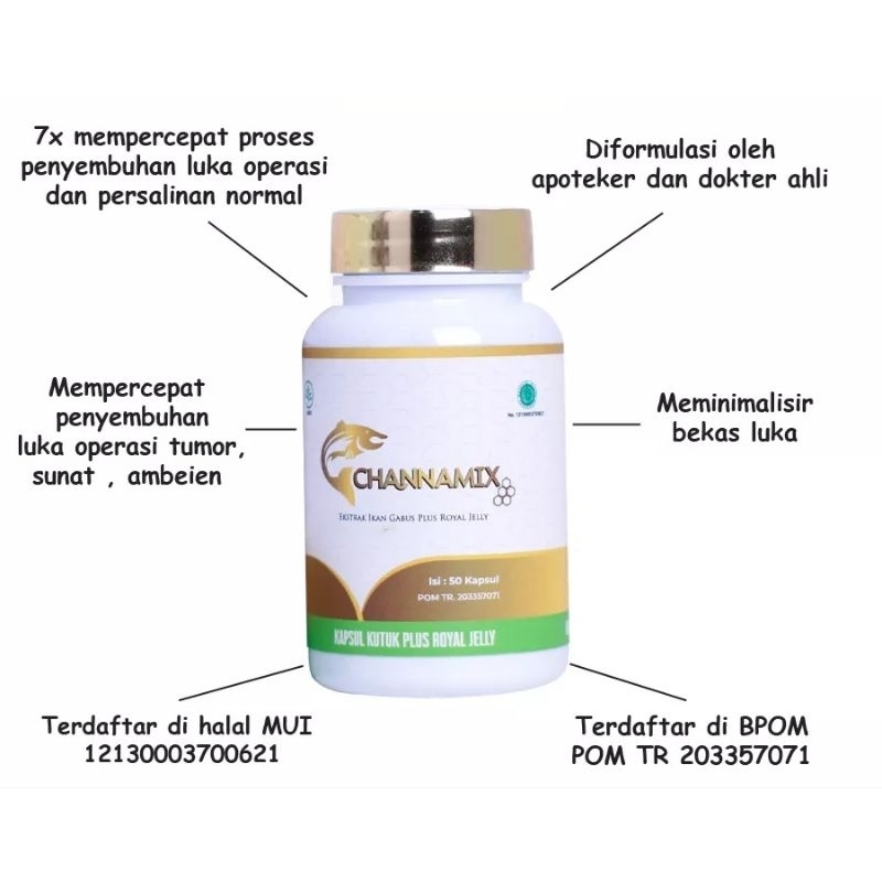 Channamix Kapsul Ikan Kutuk Mempercepat Penyembuhan Luka Pasca Operasi | Channamix Original Ikan Gab