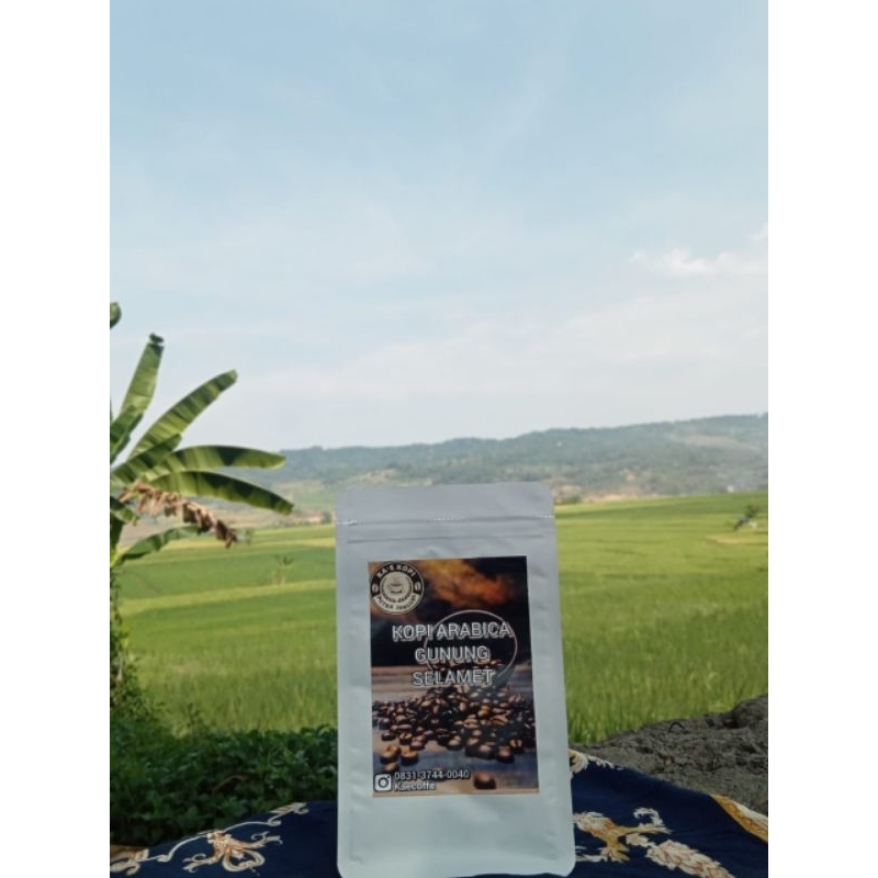 

Robusta Jonggol