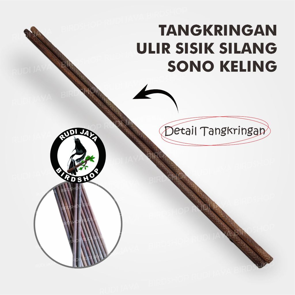 TANGKRINGAN SONO KELING DOWEL MOTIF ULIR SISIK SILANG UNTUK PLANGKRINGAN BURUNG KACER KENARI PLECI