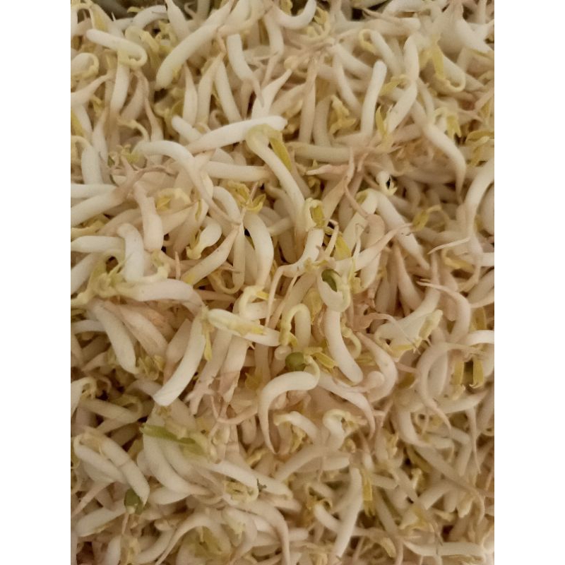 

Toge & Mie Untuk Mie Kocok