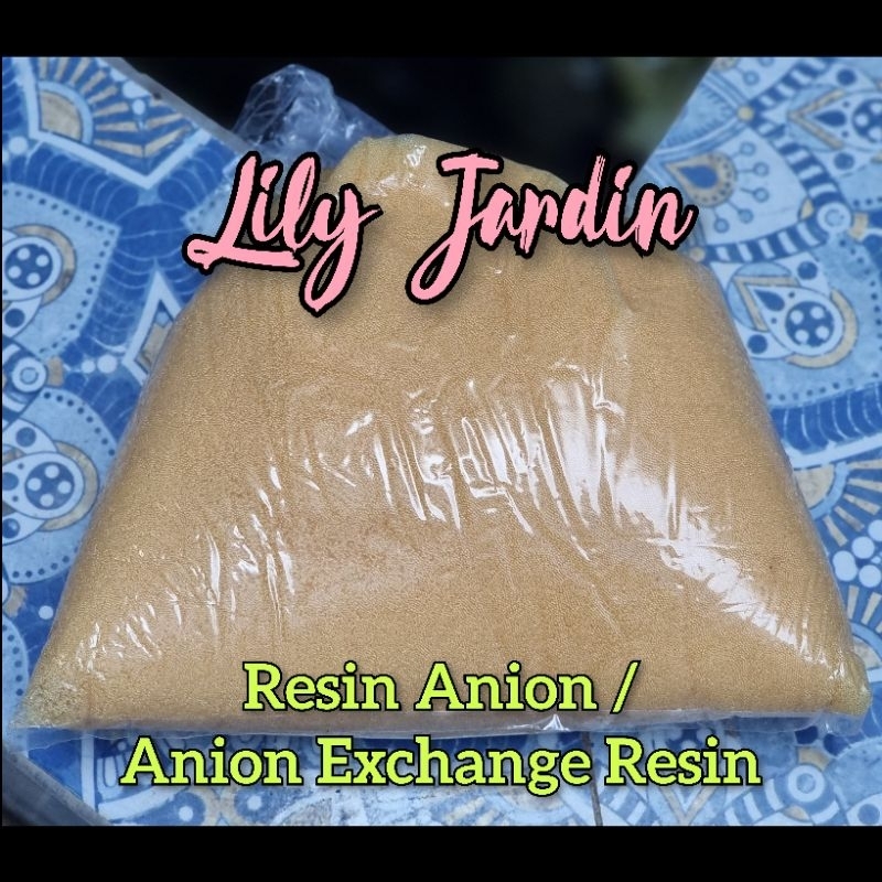 Resin Anion / Anion Exchange Resin / Media Filter Air - 1 Lt