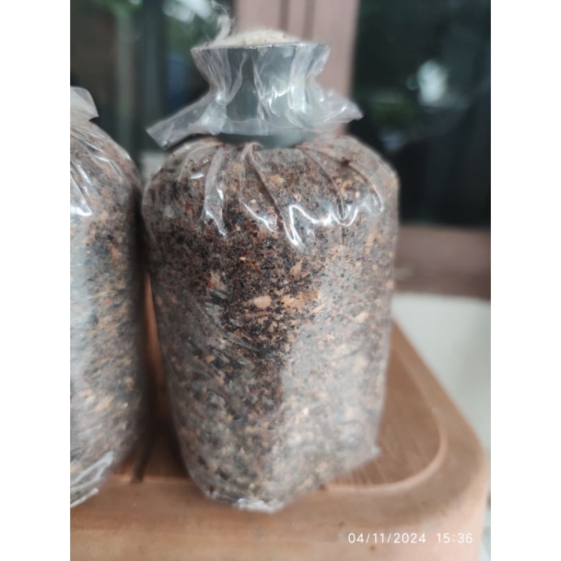 [COD] [DISKON MURAH] BIBIT JAMUR MERANG ISI 3 LOG PUTIH SUPER SIAP TEBAR FULL MISELIUM