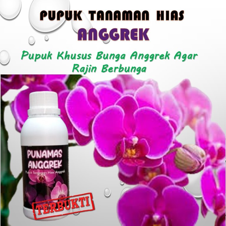 VITAMIN ANGGREK AGAR CEPAT BERBUNGA / PUPUK ANGGREK / PUPUK ANGGREK CEPAT BERBUNGA
