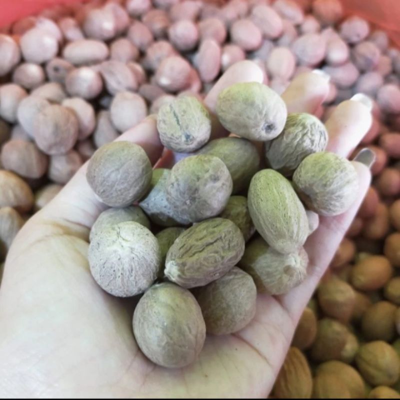 

Biji Pala Bulat (Utuh)/Nutmeg Whole Asli Dan Fresh 500 gram