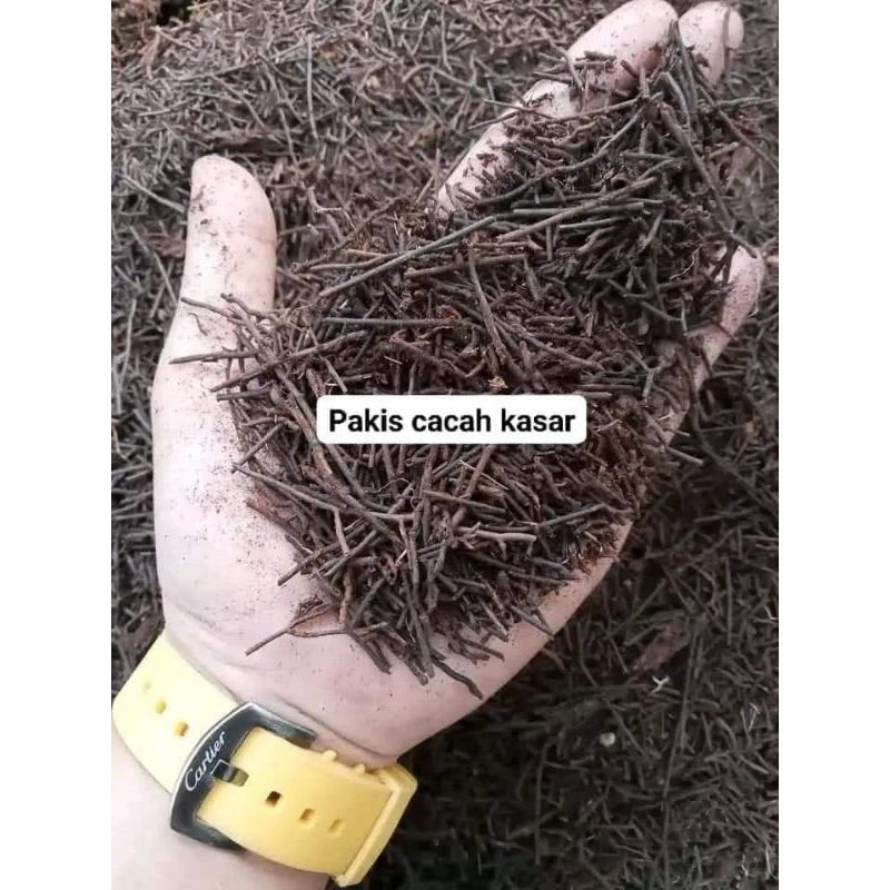 pakis cacah kasar terfermentasi siap pakai 1kg.