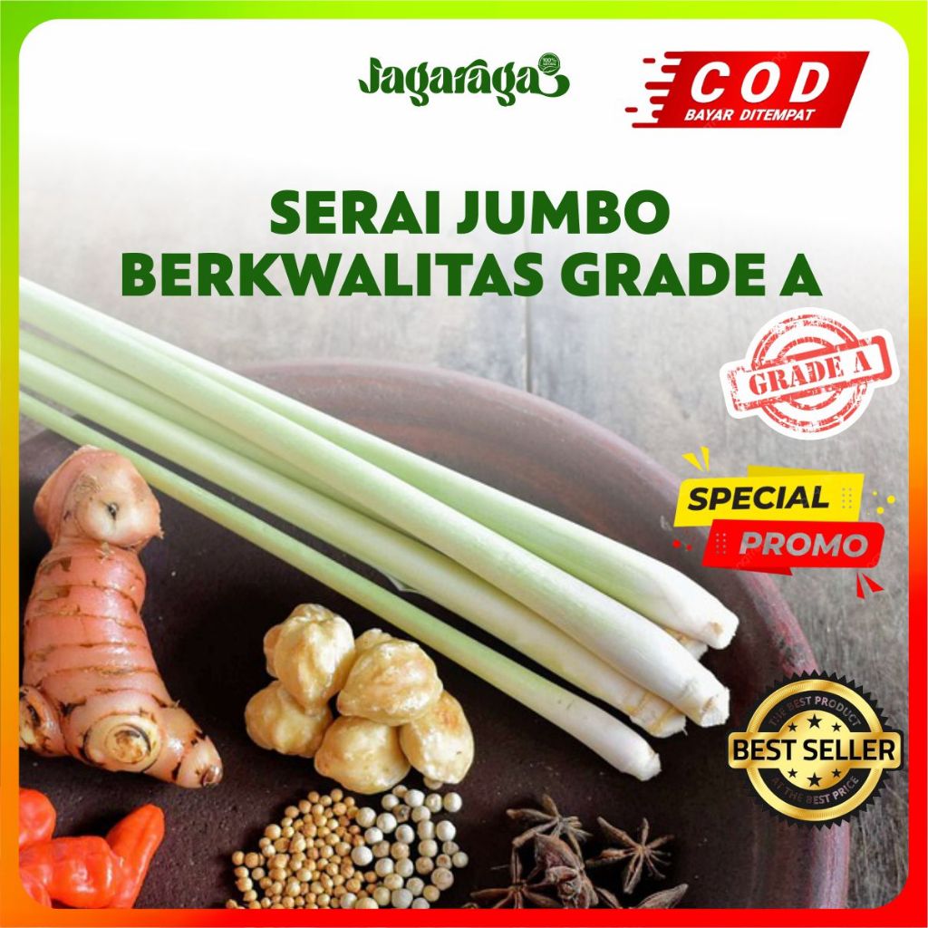 

Serai Jumbo Segar Murah Berkualitas Super, Daun Sereh Fresh Berkualitas Grade A Bumbu Masak Rempah