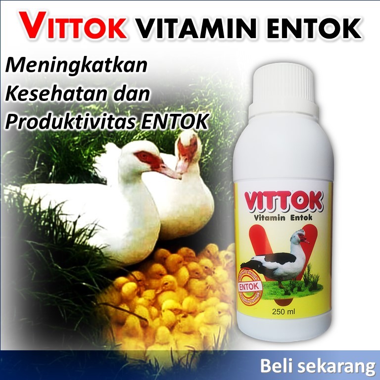 Vitamin entok cepat besar / Vitamin entok cepat bertelur / vitamin penggemuk unggas entok / Vitamin 