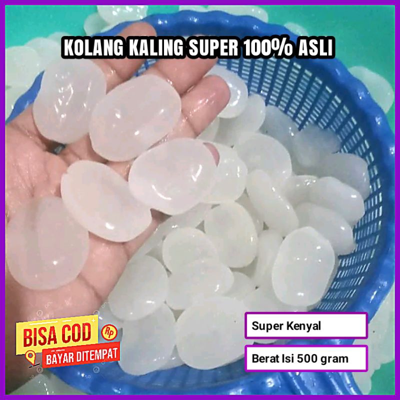 

KOLANG KALING SUPER KENYAL ORGANIK 500 GRAM FRESH TANPA PENGAWET