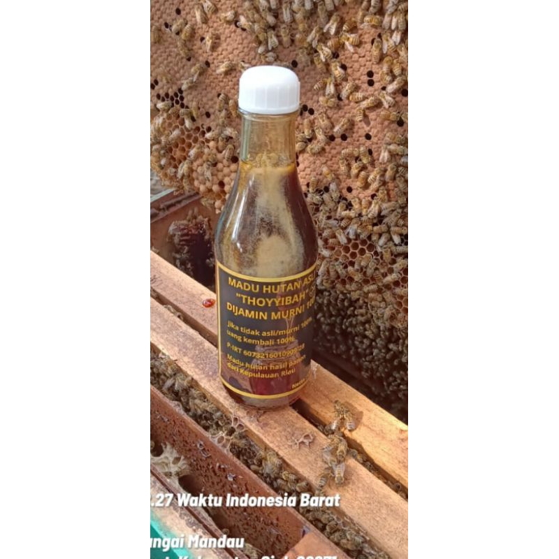 

Madu Thoyyibah madu asli riau 100% madu asli 500 gram