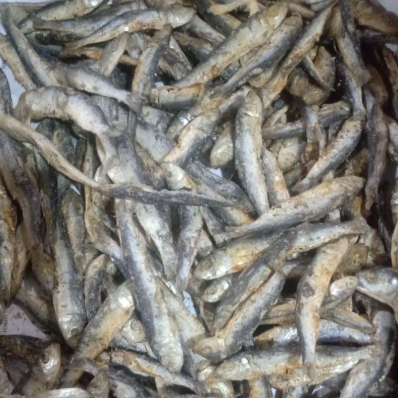 

ikan asin tembang japu per ons