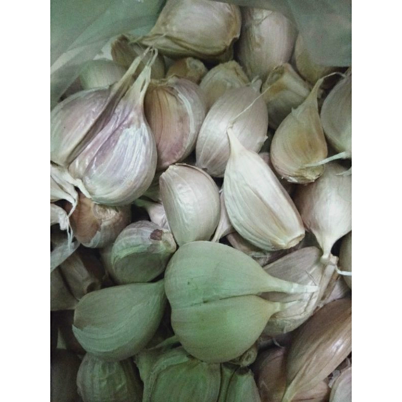 

bawang putih kating premium murah 1 kg