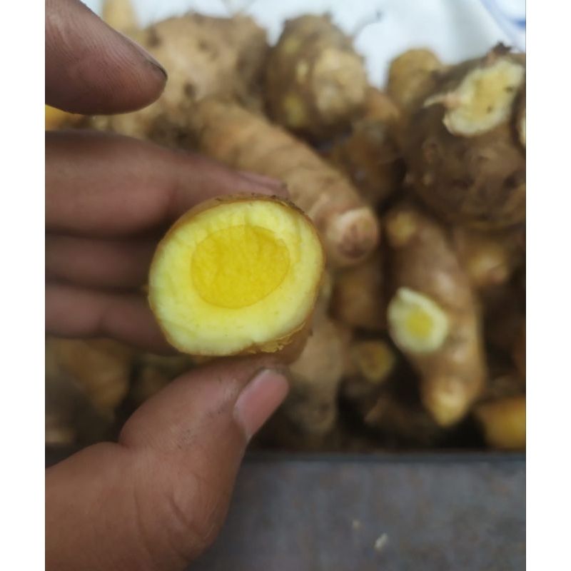 

TEMU MANGGA 500gr