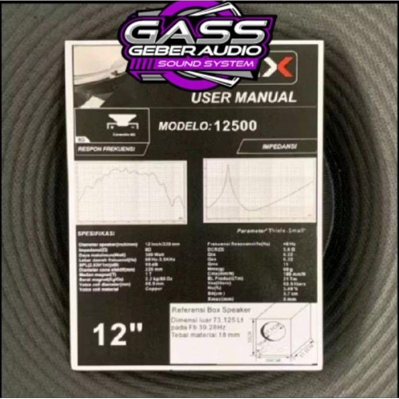 Speaker 12 inch RCX 12500