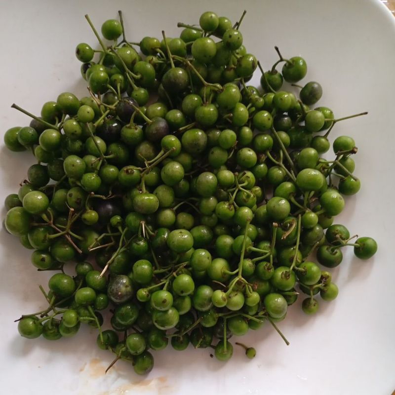 

Lenca Segar 250 gram(Instan Kurir)