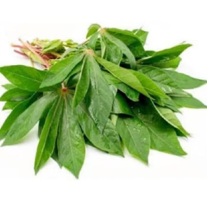 

Daun singkong 1kg ikat