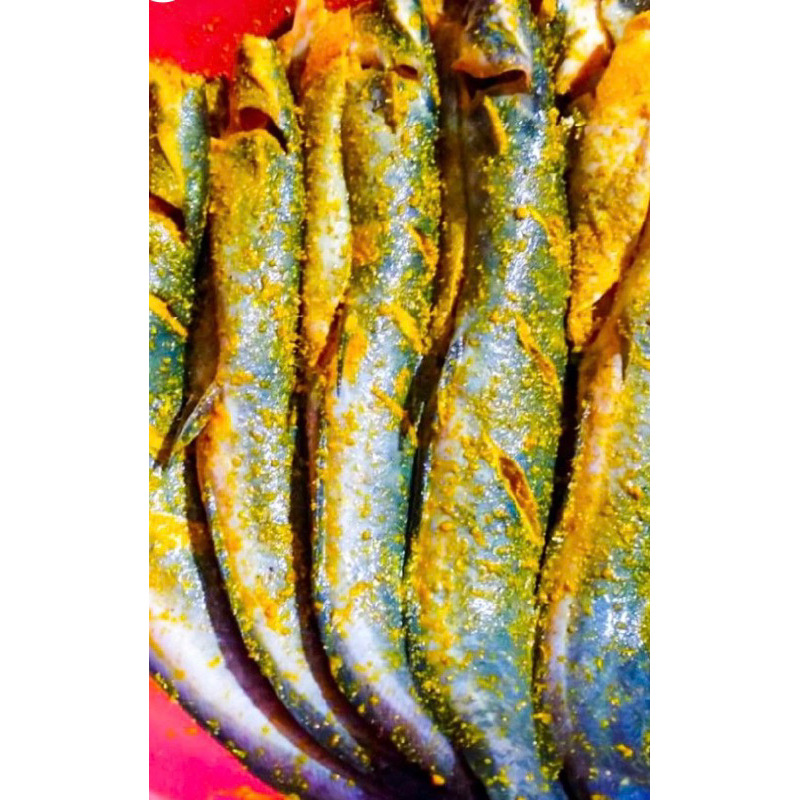 

KIRIM INSTANT/SAMEDAY Lele bumbu kuning/ Marinasi 7 ekor Khas Masakan Uni