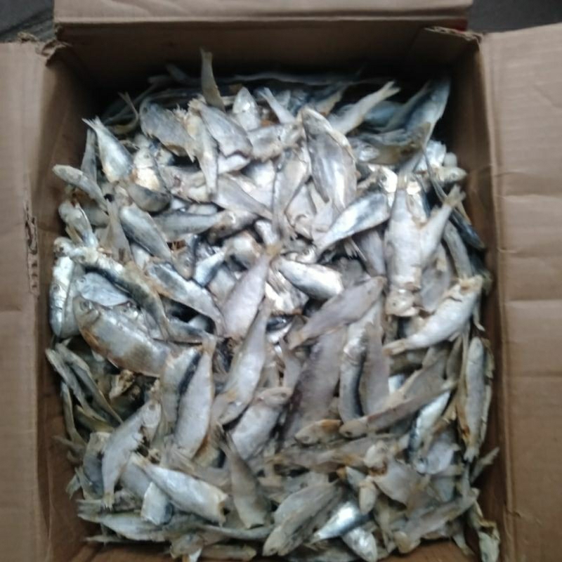 

Ikan asin Rucah campur