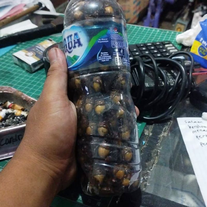 

PUTHUL RAMPAL ASLI GUNUNGKIDUL MAKANAN UNIK KHAS PUTUL