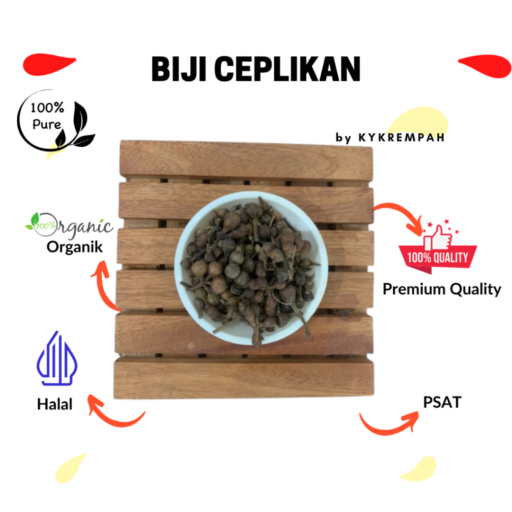 

Ceplikan kering | Biji Ceplikan Premium Grade