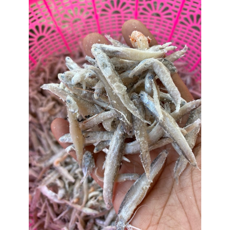 

ikan asin TERI Jenggot Murah Bangett✔️