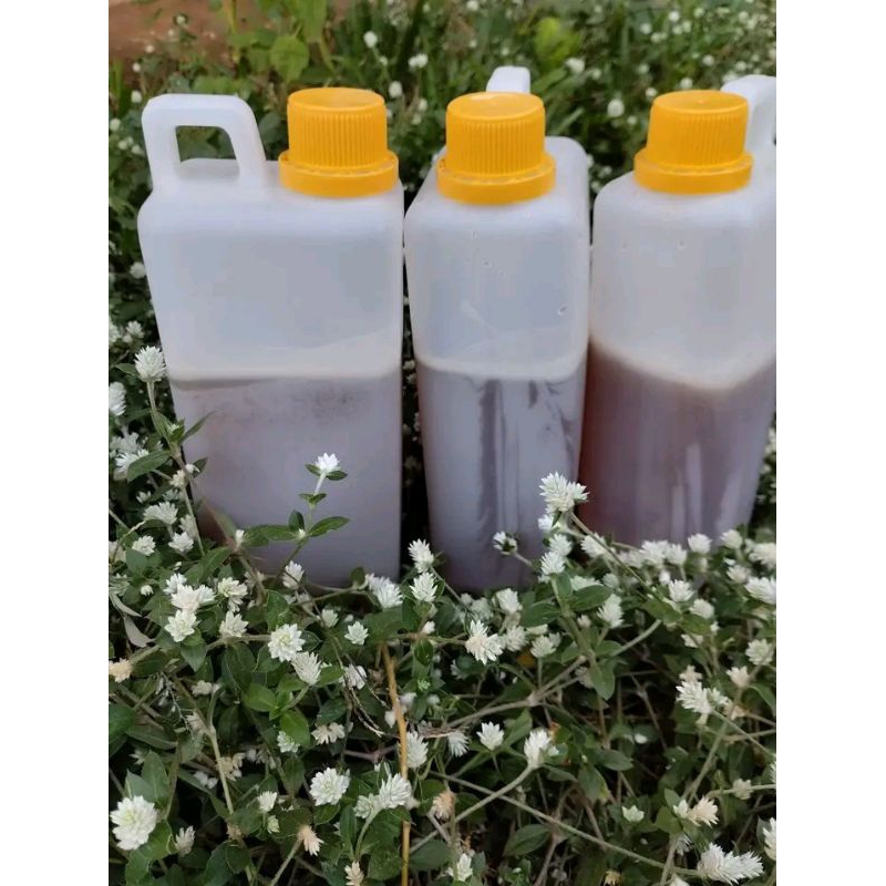 

MADU MULTIFLORA 1KG // MADU MURNI AMULRA