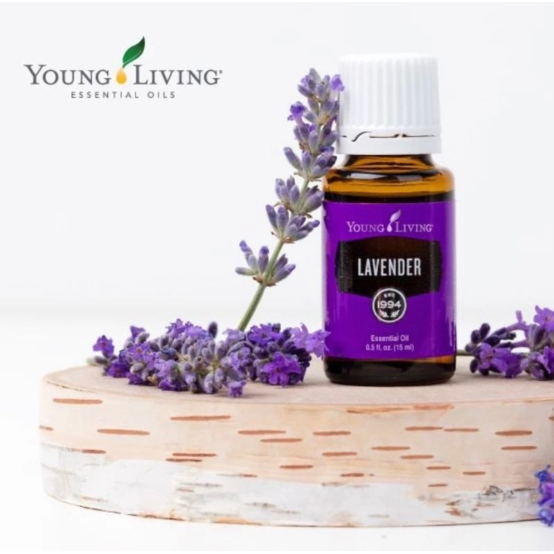Essential Oil Lavender 5ml original by Young Living