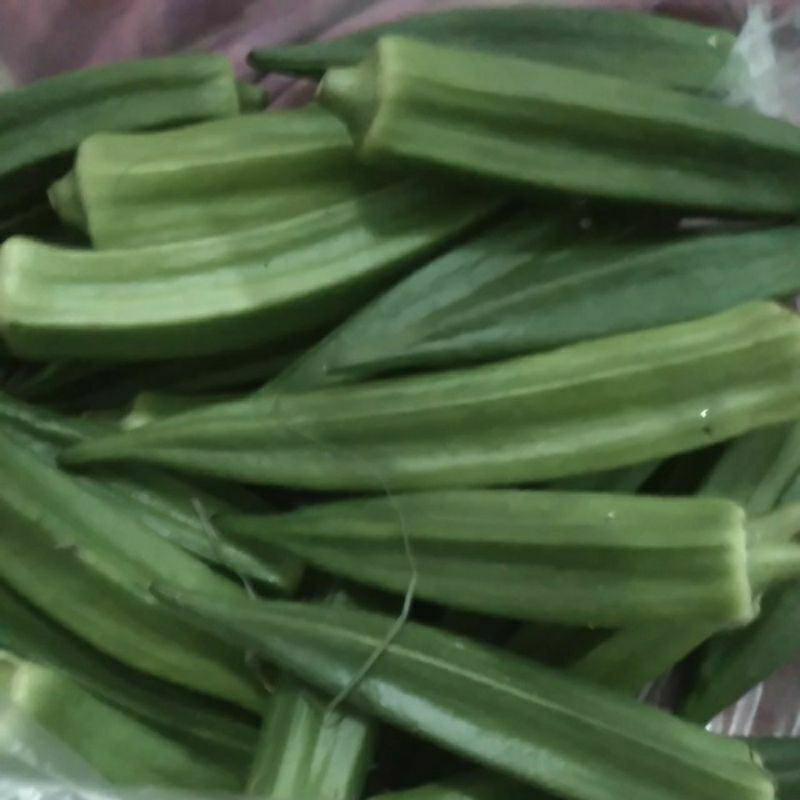 

Sayur OKRA OKRO HIJAU Ladifinger