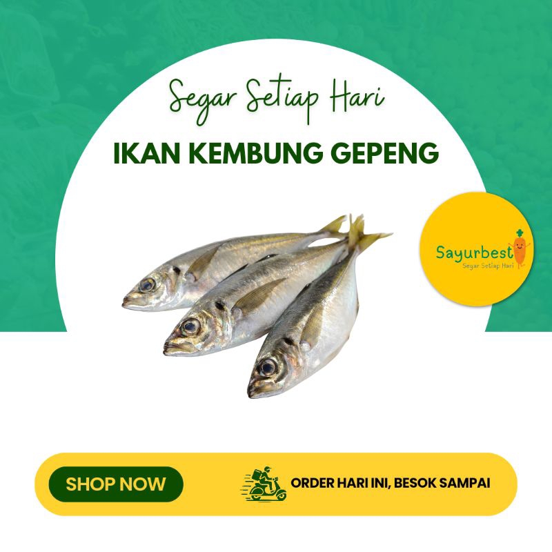 

(PO KIRIM BESOK) Ikan Kembung Gepeng 500 gram
