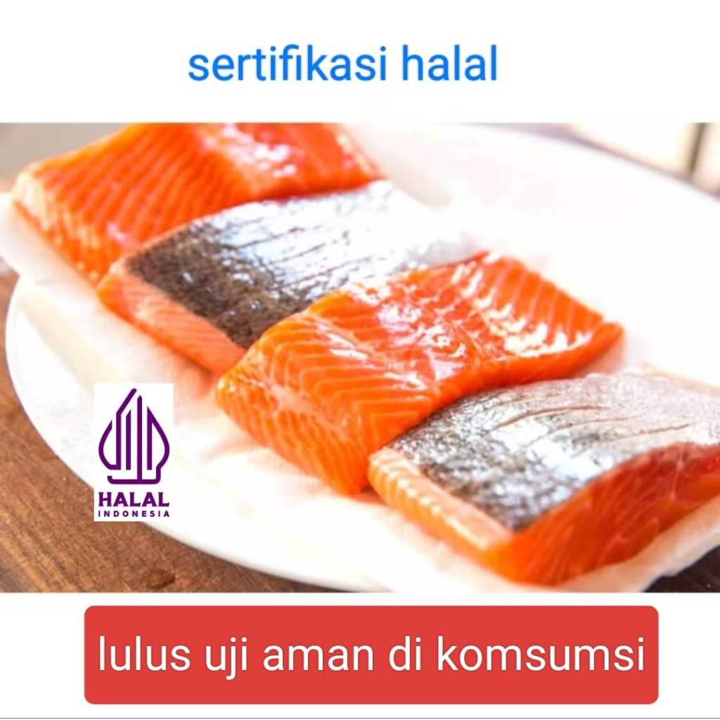 

Ikan Salmon KIRIMI Salmon Slace Fillet Import Kualitas Salmon Norwegia Premium isi 3/100gr HALAL