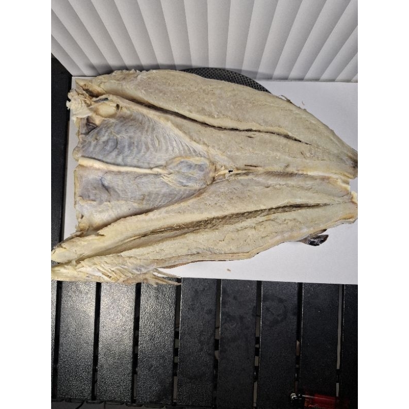 

ikan asin jambal 100gr