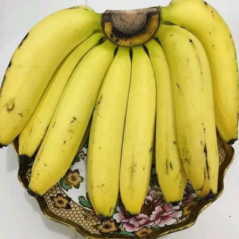 

Pisang ambon super satu sisir murah