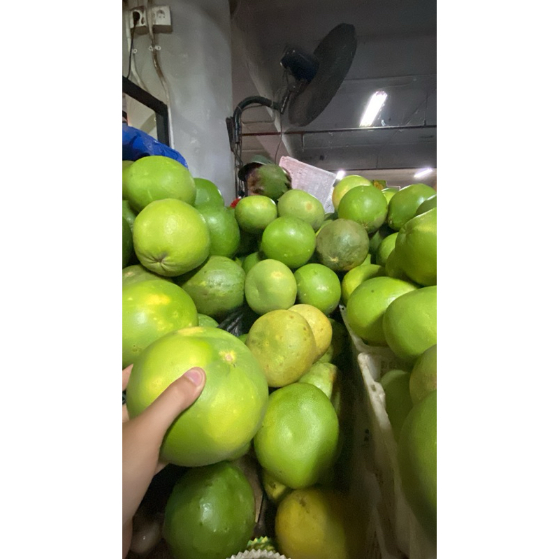 

JERUK BALI FRESH/FRESH POMELO