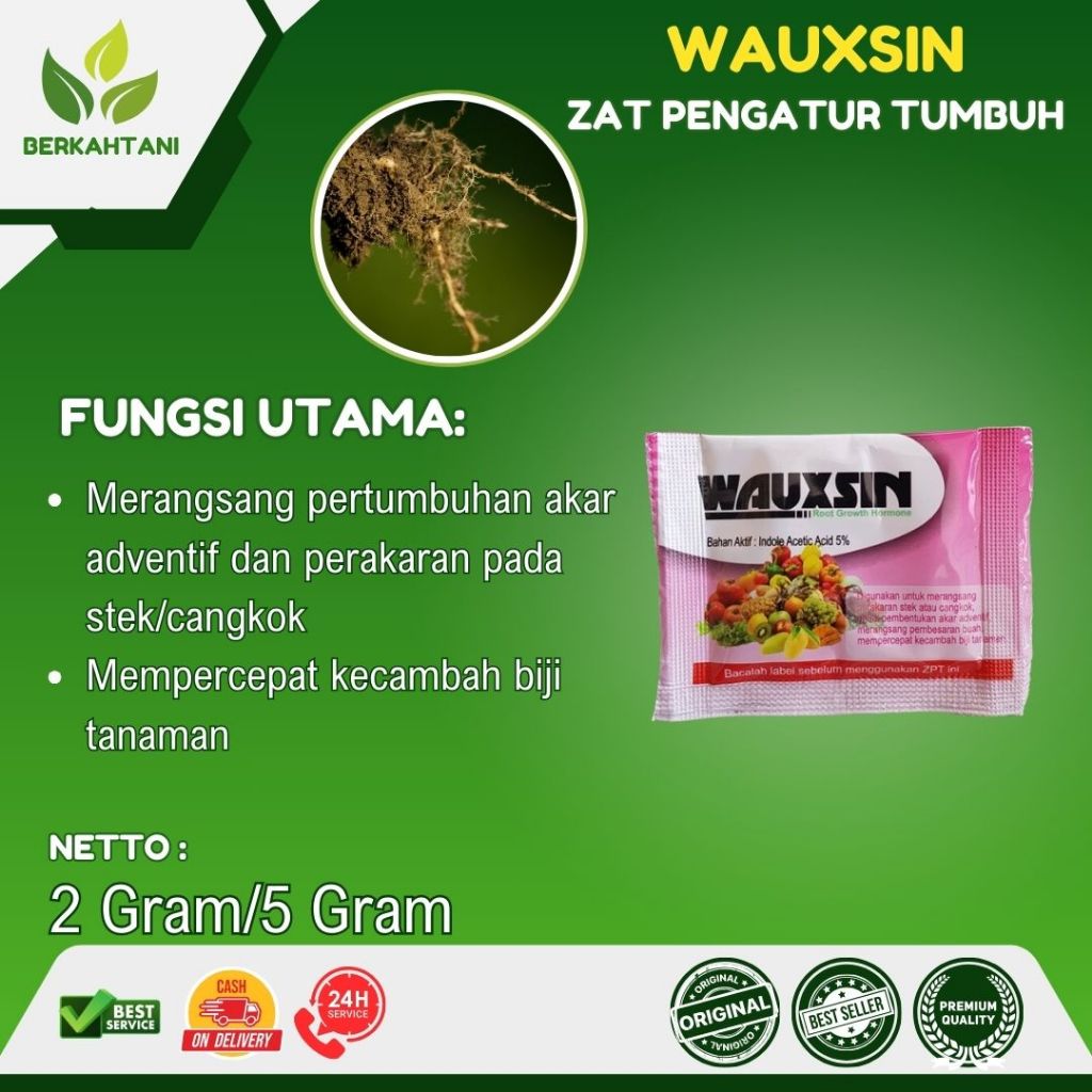 Wauxin 5 Gram Booster Akar Hormon Akar ZPT Akar