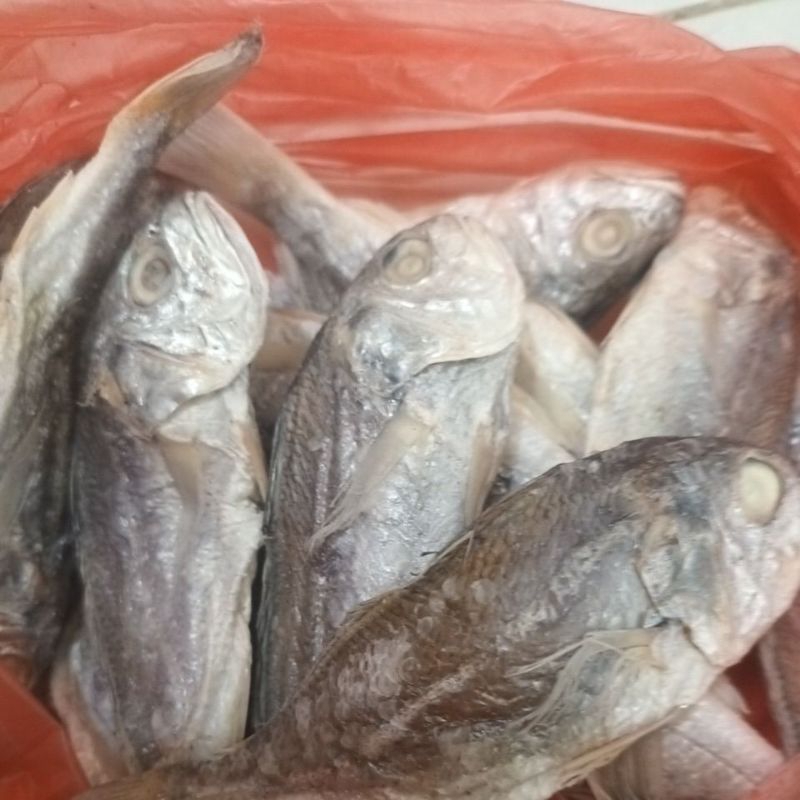 

Ikan Asin Gulamo (250Gram)