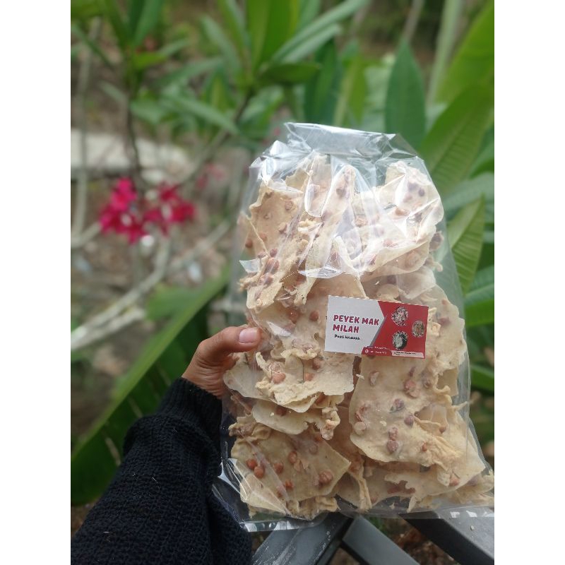 

Peyek Kacang Enak 250 gram Gurih Renyah