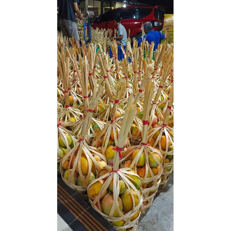

Mangga Gedong Gincu