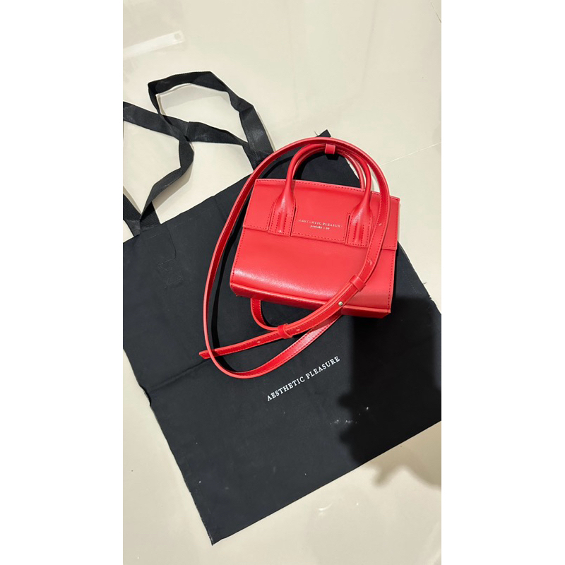 Aesthetic Pleasure Micro Bag