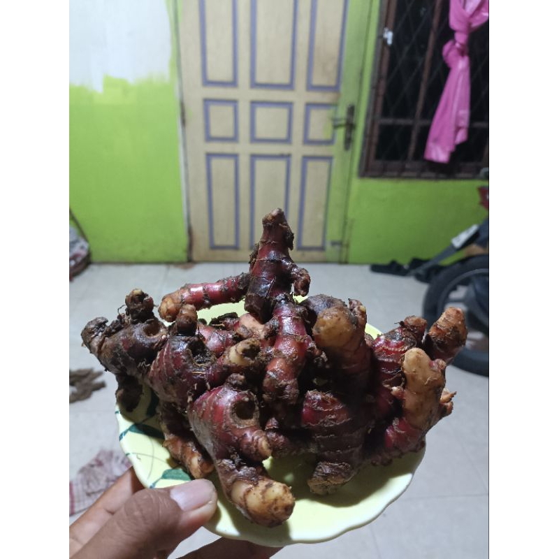 

500gram jahe merah tua original bisacod