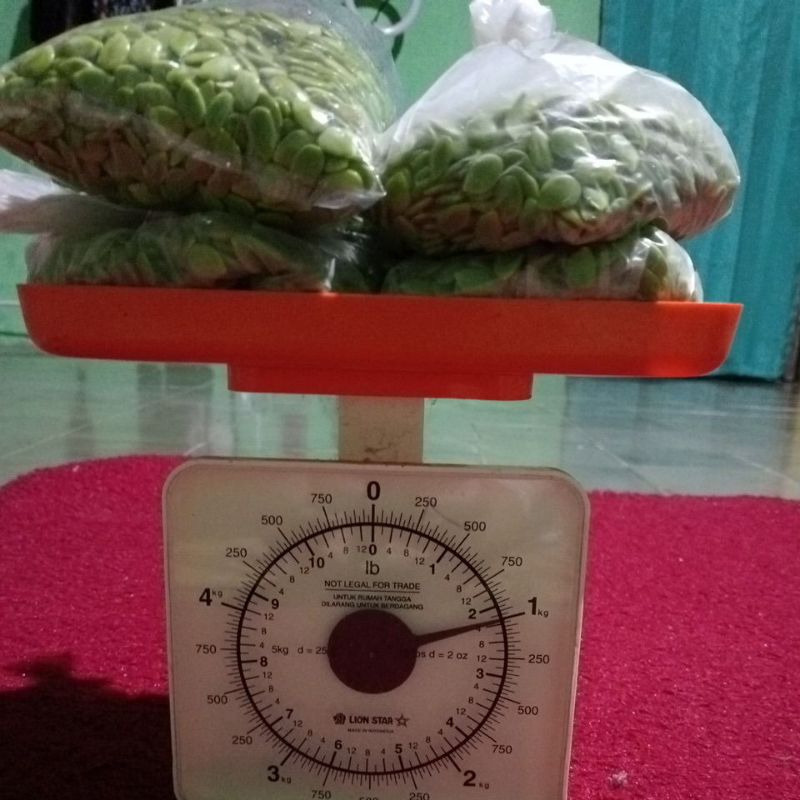 

lamtoro/petai cina segar berat 1 kg