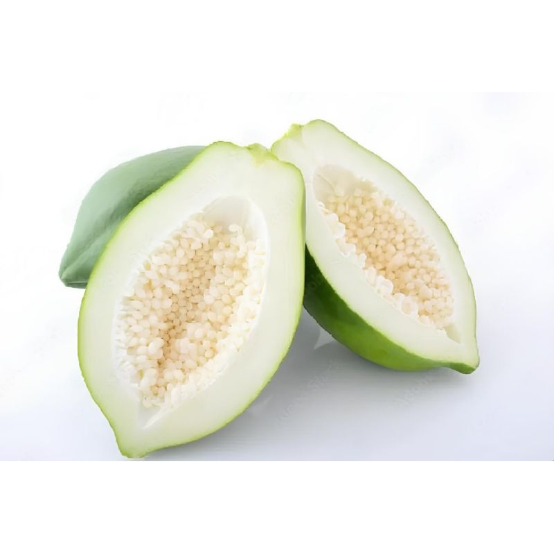 

Pepaya muda/pepaya sayur 1 kg