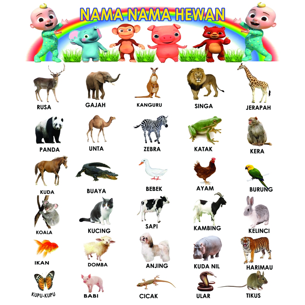 POSTER NAMA NAMA HEWAN