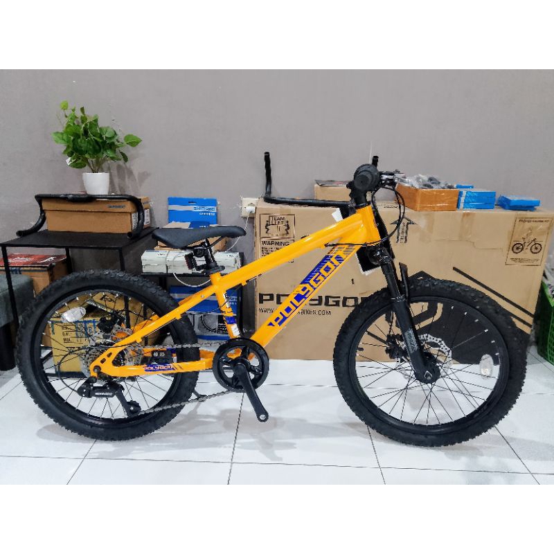 Sepeda Junior MTB POLYGON MAZE 20" WARNA TERBARU
