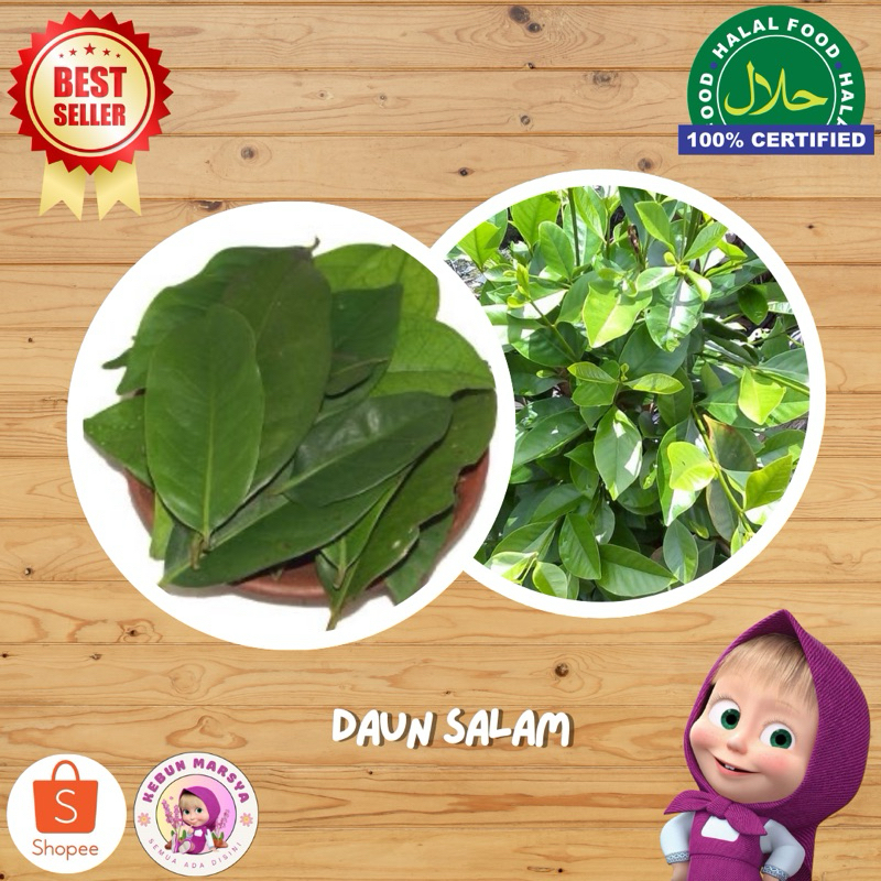 

PROMO!!! Daun Salam Segar Fresh - KebunMarsya