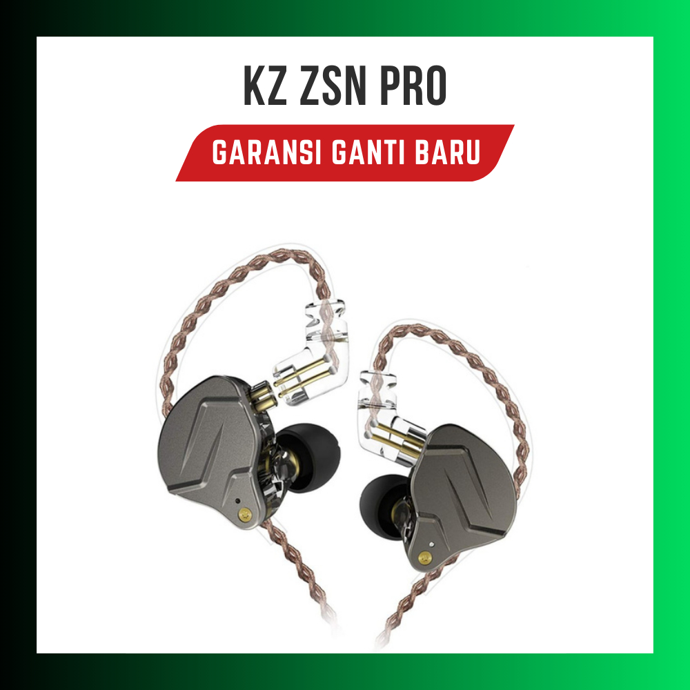 KZ ZSN PRO with MIC Earphone